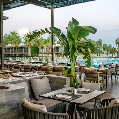 Otel Paloma Orenda