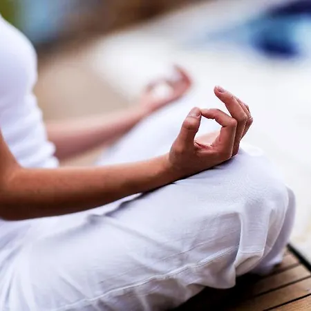 Paloma Orenda Hotell 5*