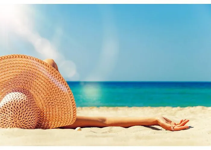 Paloma Orenda 锡德