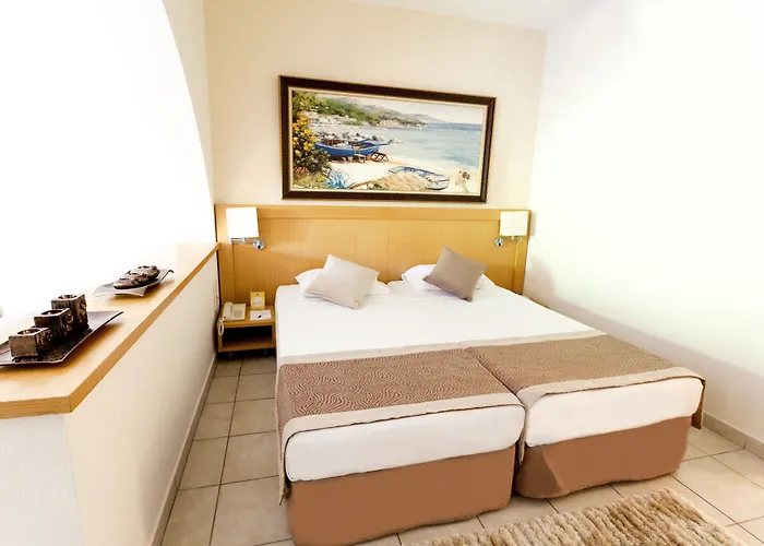 Paloma Orenda 시데