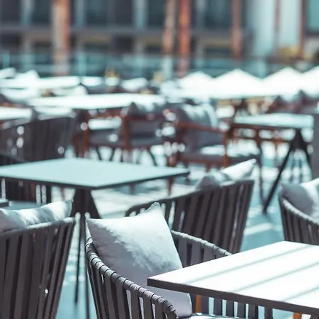 Paloma Orenda 시데