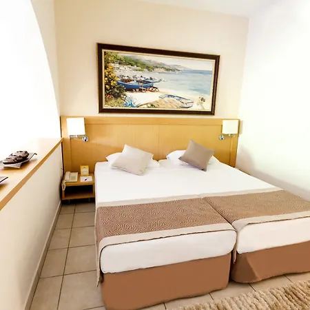 Paloma Orenda 시데