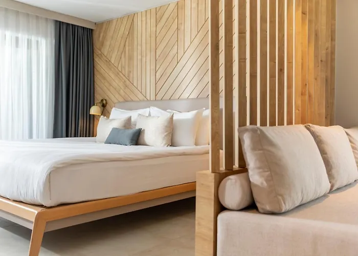 Paloma Orenda 5* シダ