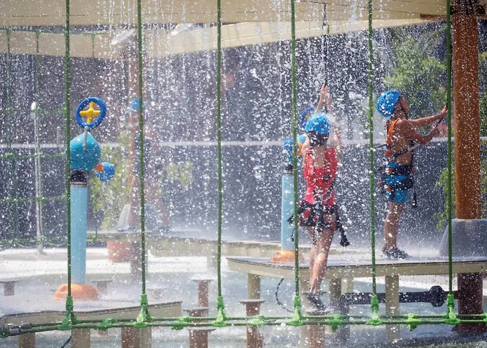 Paloma Orenda 5* シダ