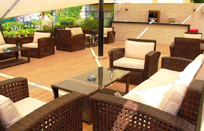 Paloma Orenda 5* シダ