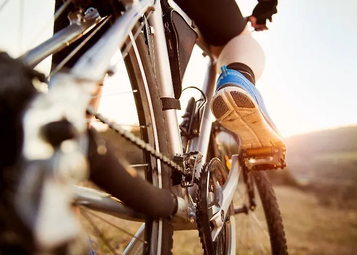 Paloma Orenda 5* Side