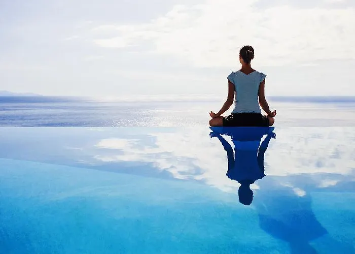 Paloma Orenda 5* シダ