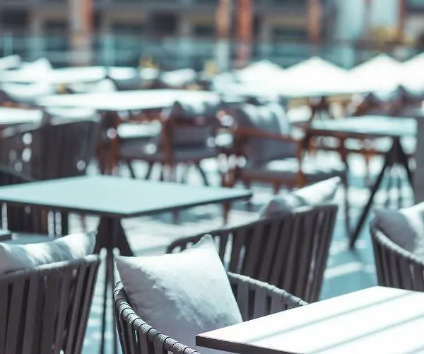 Paloma Orenda シダ