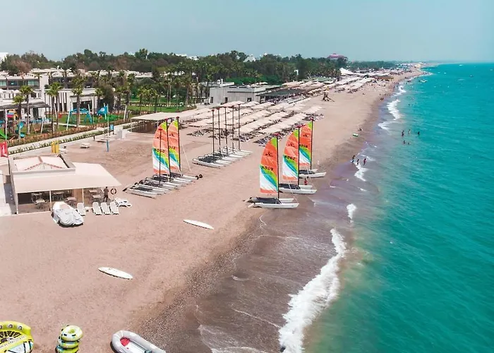 ホテル Paloma Orenda シダ